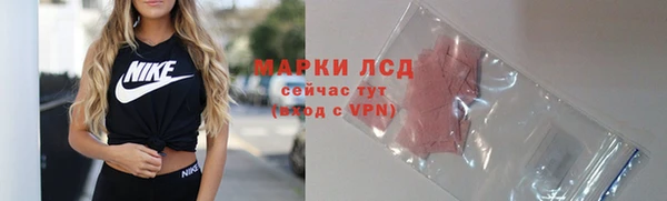 ПСИЛОЦИБИНОВЫЕ ГРИБЫ Алзамай