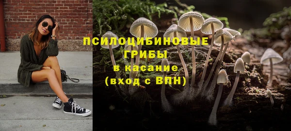 спайс Алексин